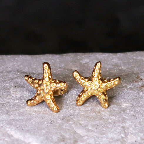 ピアス スタッド スターフィッシュ ANTICO AER068