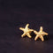 ナノッタ ピアス スターフィッシュ GD AER068-ER280-GD