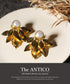 ピアス パール スタッド リーフ ANTICO AER148