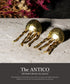ピアス スタッド リーフ ANTICO AER159