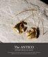 ピアス フック ANTICO AER162