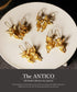 ピアス フック ANTICO AER164