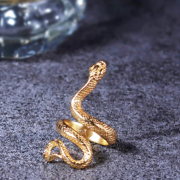 ナノッタ 指輪 スネーク ARN008-GD