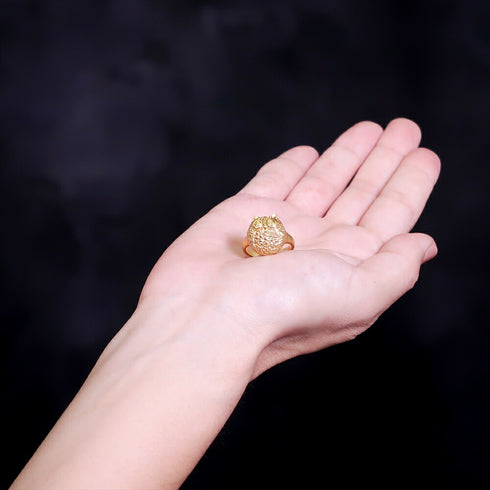 リング 指輪 ふくろう ANTICO ARN011