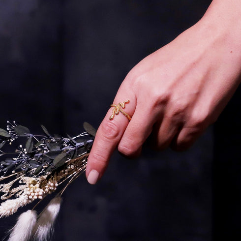 リング 指輪 スネーク 蛇 ANTICO ARN036