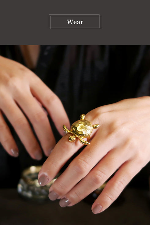 リング 指輪 ホヌ ANTICO ARN108